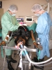 Chirurgie canine_1